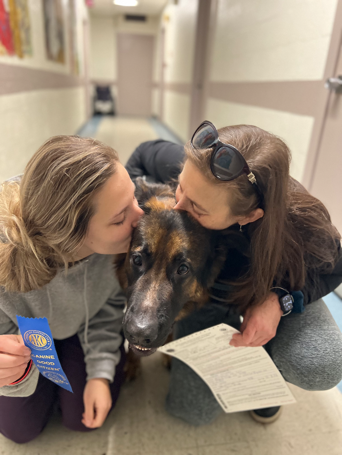 Rockville, MD 4 On The Floor Dog Training & Behavior Consulting