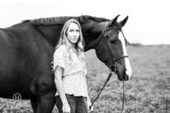 Request Quote: H Studios Co - Professional Pet Photographer - San Angelo, TX