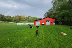 Request Quote: Freedom Farm Boarding and Training - Dog Boarding Care - McHenry, IL