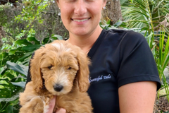 Request Quote: Successful Tails Dog Training - Roseland, FL