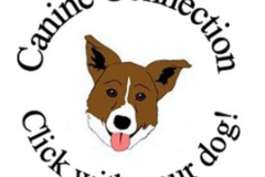 Request Quote: Canine Connection LLC - Expert Professional Dog Training - Willard, MO