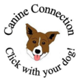 Canine Connection LLC - Expert Professional Dog Training - Willard, MO
