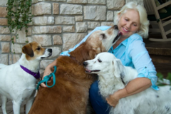 Request Quote: Unleashed My Dog - Certified Canine Trainer - Neenah, WI