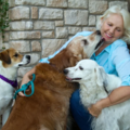 Unleashed My Dog - Certified Canine Trainer - Neenah, WI