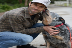 Request Quote: Reward-a-Dog - Certified Dog Trainer - Santa Clarita, CA