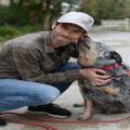 Reward-a-Dog - Certified Dog Trainer - Santa Clarita, CA