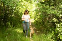Request Quote: The Mindful Canine - Certified Dog Trainer - Herring Cove, NSBVH