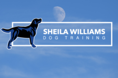 Request Quote: Sheila Williams - In Home Private Dog Training  - Des Moines, IA
