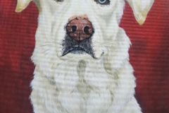 Request Quote: Sketchosaurus Art - Brandon Florida Pet Portraits - Nationwide