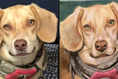 Request Quote: Pet Portraits by Rachel - Nationwide