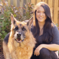 Savvy City Dog - CCPDT Certified Private Dog Trainer - Washington, DC