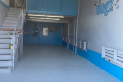 Request Quote: Dogz - CCPDT Certified Dog Trainers - Reno, NV