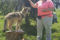 Request Quote: Dogz - CCPDT Certified Dog Trainers - Reno, NV