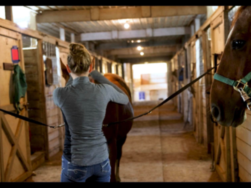 Lesson Student Grooming Horse in Crossties