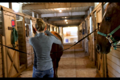 Request Quote: Elysian Fields Equestrian Center - Horse Boarding - Montoursville, PA