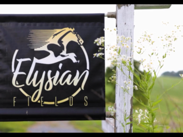 Entrance Marker
