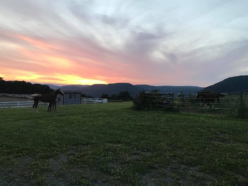 Gorgeous Views