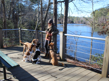 Head Trainer Madison Enjoying Dogs