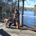 Lucid K9 Training - Professional Private Dog Trainer - Norfolk, VA