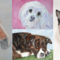 Sycamore Wood Studio  - Pet Portrait Artist - Philadelphia, PA