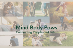 Request Quote: Mind Body Paws - Certified In Home Private Dog Trainer - Cresskill, NJ
