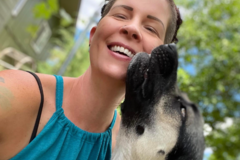 Request Quote: Pawse - Certified Animal Reiki Therapist - Nationwide