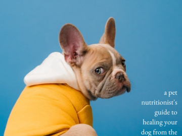 Samantha is the author of the book "Healing Your Dog's Gut Microbiome"