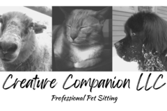 Request Quote: Creature Companion LLC - Professional Pet Sitting Service - Cornish, NH