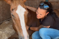 Request Quote: Yvonne Magee CESMT Equine Massage Therapist  - Killeen, TX