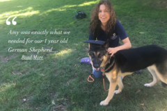 Request Quote: Doggone Special - CCPDT Certified Dog Trainer - New York, NY