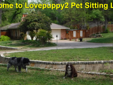 Wecome to Lovepuppy2 Pet Sitting LLC