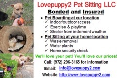 Request Quote: Lovepuppy2 Pet Sitting (Boarding) - Dallas, TX