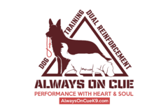 Request Quote: Always On Cue Dog Training - Gainesville, FL