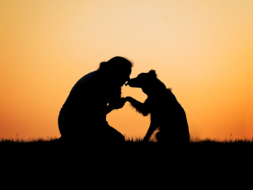 barking dog images
