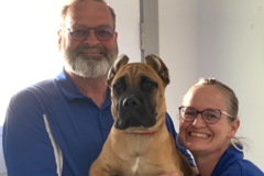 Request Quote: The Pooch Pros - Dog Training and Boarding - Grape Creek, TX