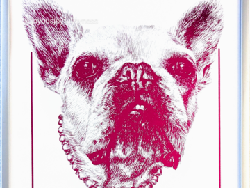 Pikachu the French Bulldog