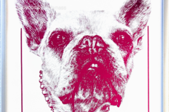 Request Quote: JoyousJoyfulJoyness - Orinda California Pet Portraits  - Nationwide