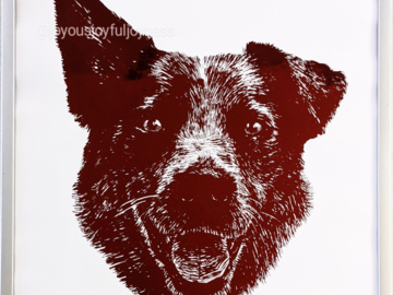 Luna the Cattle Dog