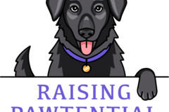 Request Quote: Raising Pawtential - Certified Private Dog Trainer - Canton, OH