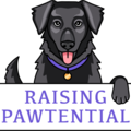 Raising Pawtential - Certified Private Dog Trainer - Canton, OH