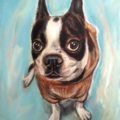 Pet Portraits by Angie Ketelhut - Nationwide