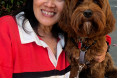 Request Quote: See Jane Dog Behavior and Dog Training - Sunnyvale, CA