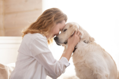 Request Quote: Heavenly Paws - In Home Pet Euthanasia and Cremation  - New Braunfels, TX