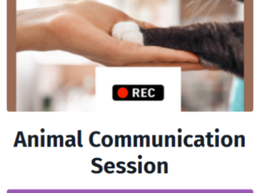 Book an animal communication session today