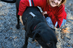 Request Quote: RUFF Routine - Pet Taxi Service - Clearwater, FL