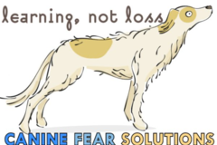Request Quote: Canine Fear Solutions - Canine Rehabilitation Care - Seaside, OR