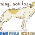 Canine Fear Solutions - Canine Rehabilitation Care - Seaside, OR