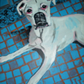 DonyaGraceArt - Pet Portrait Artist - Nationwide