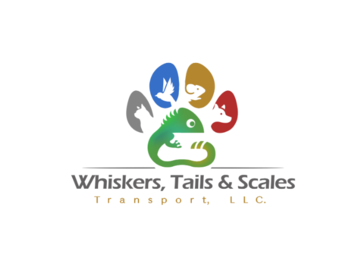 My Business Logo