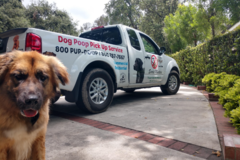 Request Quote: Scoop Masters - Dog Poop Removal Services - Santa Clarita, CA